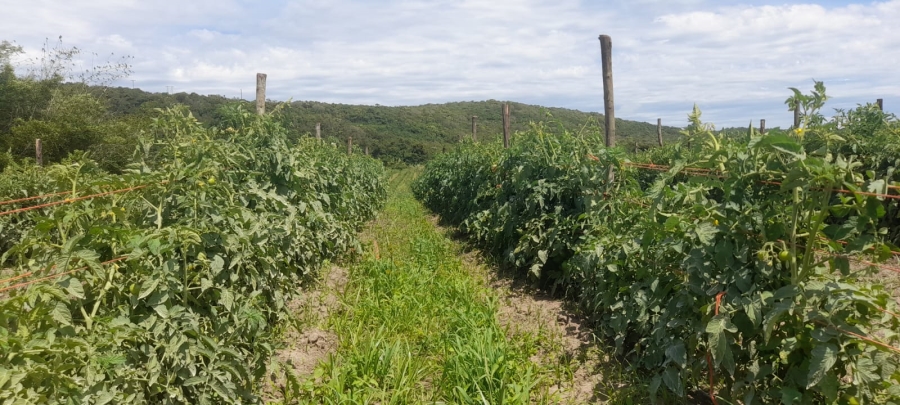 Commercial Property for Sale in Komga Rural Eastern Cape
